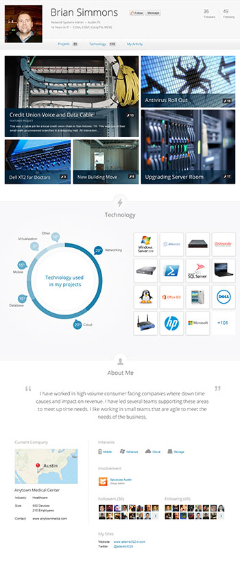 Spiceworks' IT Profiles