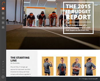 2015 IT Budget Report